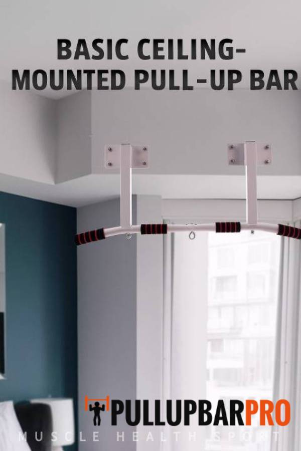 WMPB-pull-up-bar-pro-singapore-6